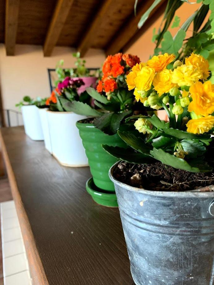 Masia De La Serra De La Cogulla Peñarroya de Tastavins Kültér fotó