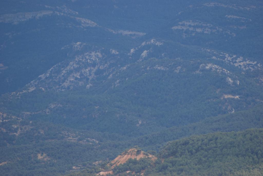 Masia De La Serra De La Cogulla Peñarroya de Tastavins Kültér fotó
