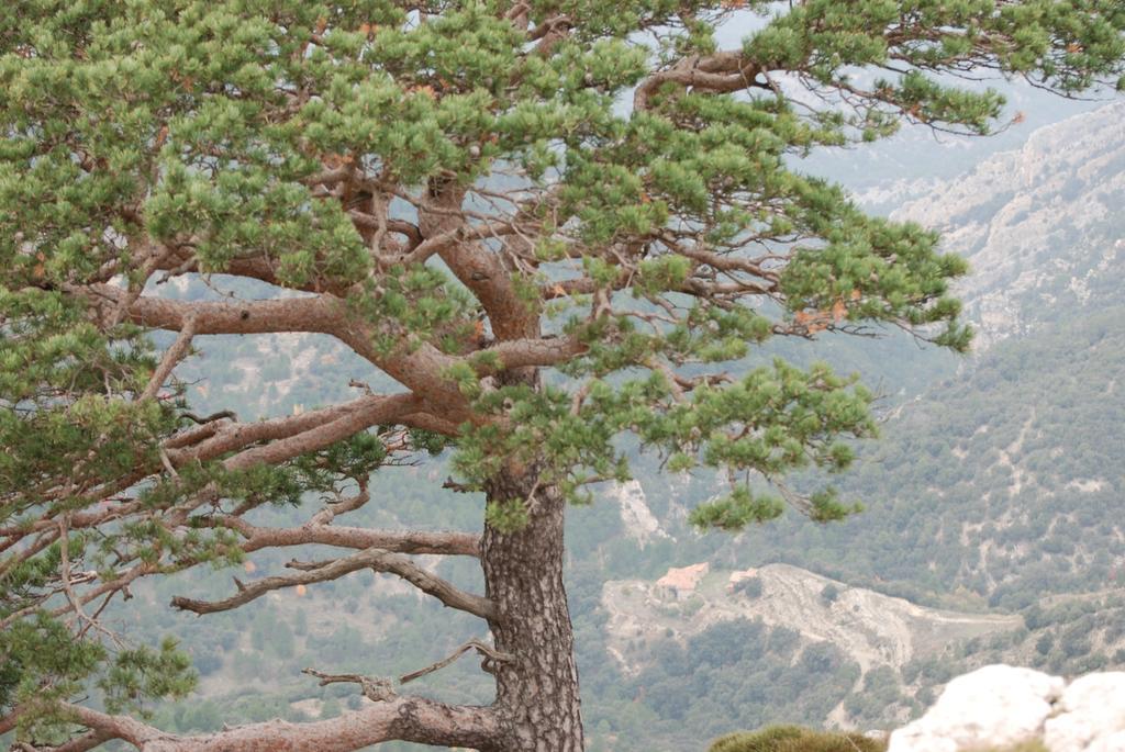 Masia De La Serra De La Cogulla Peñarroya de Tastavins Kültér fotó